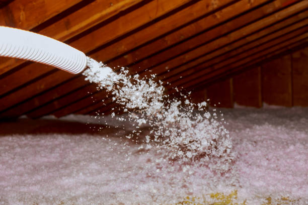 Best Insulation Repair Services  in Chadbourn, NC