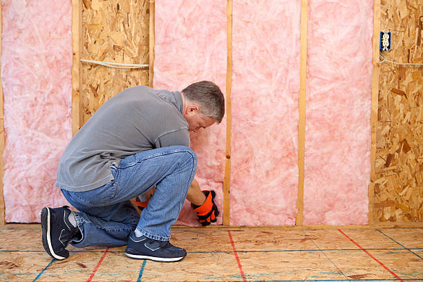 Best Best Insulation Companies  in Chadbourn, NC