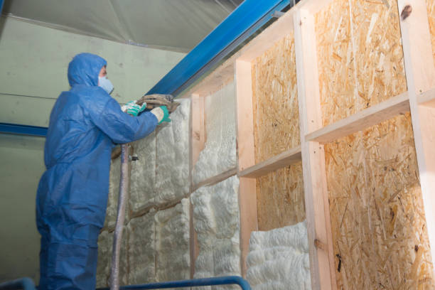 Best Insulation Contractors for Homes  in Chadbourn, NC
